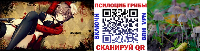 Галлюциногенные грибы GOLDEN TEACHER  Суровикино 